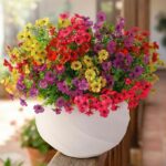 Outdoor Flower Pots (Mix of Hot Pink, Red, Purple, Yellow)