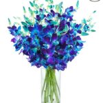 KaBloom - Exotic Blue Sapphire Orchid Bouquet
