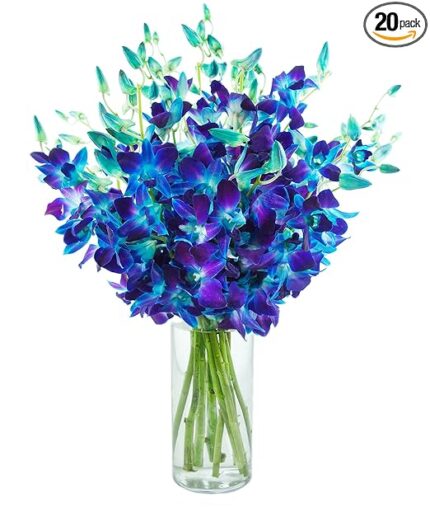 KaBloom - Exotic Blue Sapphire Orchid Bouquet
