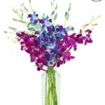 Midnight in the Tropics Bouquet